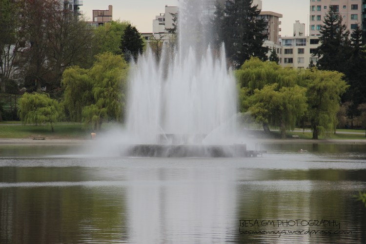 FOUNTAIN