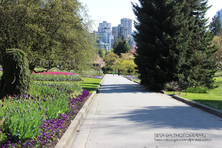 Stanley Park Rose Garden, Vancouver BC